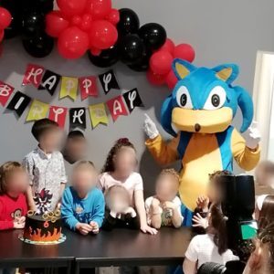 SONIC ΣΕ ΠΑΙΔΙΚΑ ΓΕΝΕΘΛΙΑ